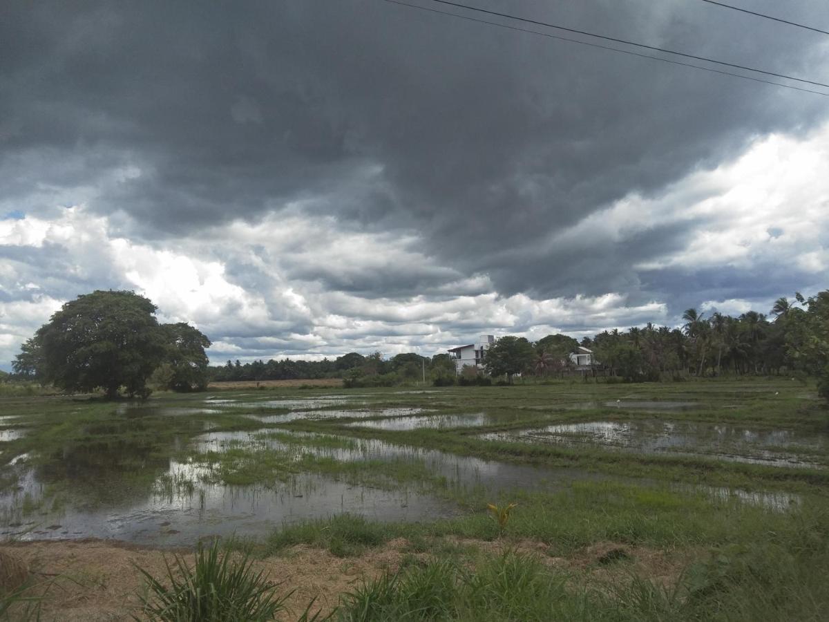 Hotel Ehala Family Rest Anuradhapura Zewnętrze zdjęcie