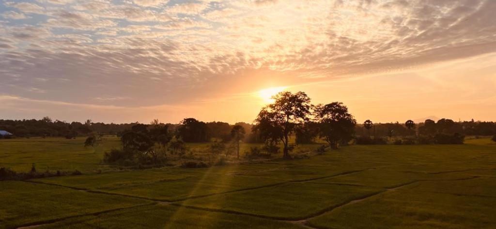 Hotel Ehala Family Rest Anuradhapura Zewnętrze zdjęcie