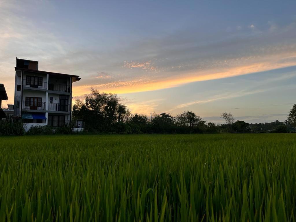 Hotel Ehala Family Rest Anuradhapura Zewnętrze zdjęcie